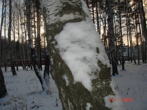 DSC04660_r